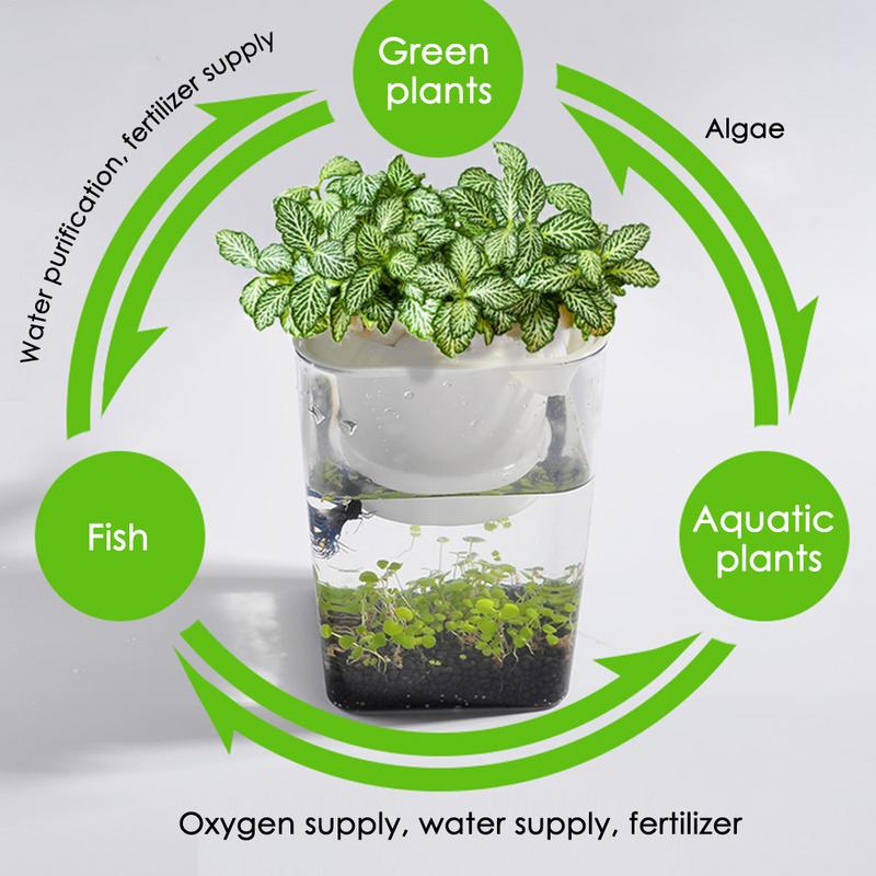 2-in-1 Fish Tank Planter Terrarium, 1.6L Desktop Tank by HitMyNeed