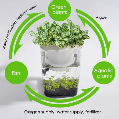 2-in-1 Fish Tank Planter Terrarium, 1.6L Desktop Tank by HitMyNeed