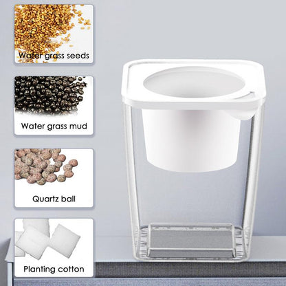 2-in-1 Fish Tank Planter Terrarium, 1.6L Desktop Tank by HitMyNeed