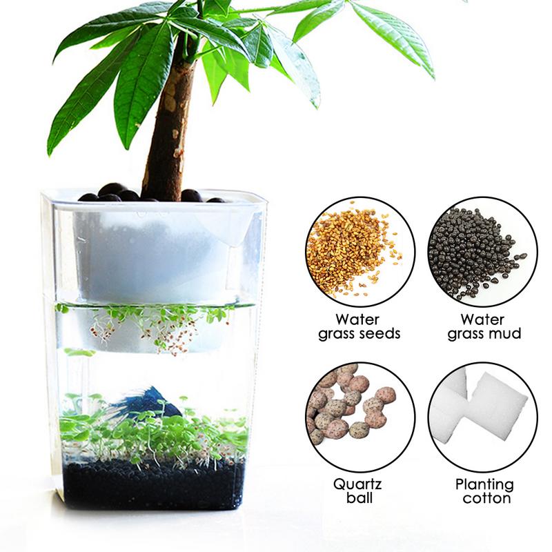 2-in-1 Fish Tank Planter Terrarium, 1.6L Desktop Tank by HitMyNeed