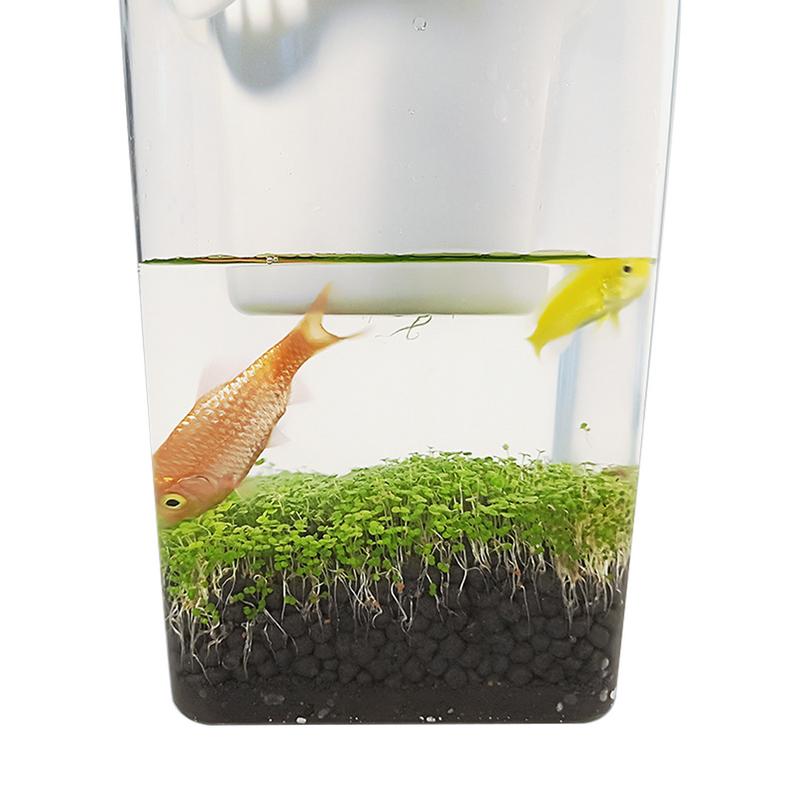 2-in-1 Fish Tank Planter Terrarium, 1.6L Desktop Tank by HitMyNeed
