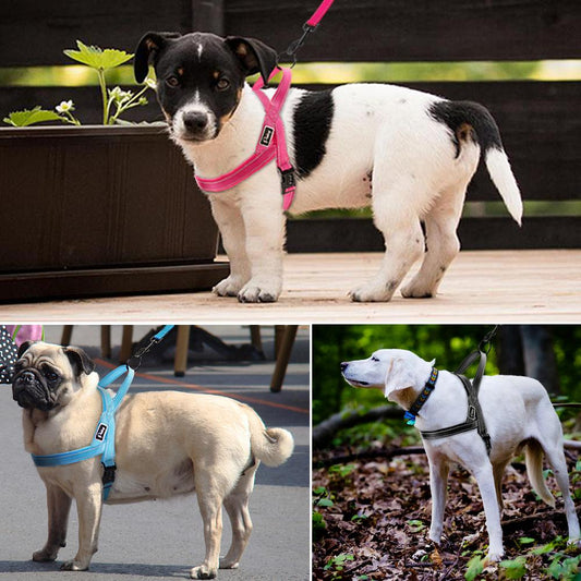 2-in-1 Reflective Nylon Dog Harness and Leash Set by HitMyNeed