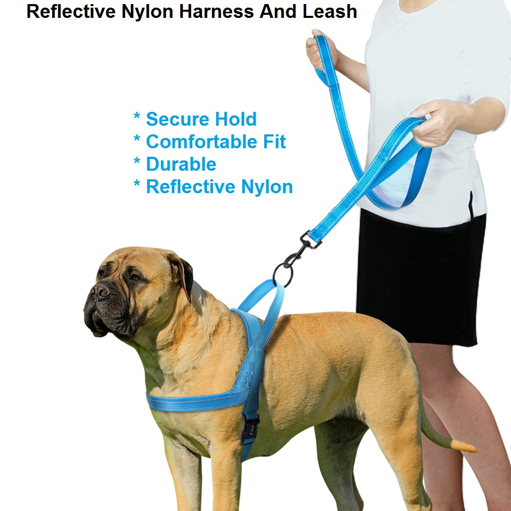 2-in-1 Reflective Nylon Dog Harness and Leash Set by HitMyNeed