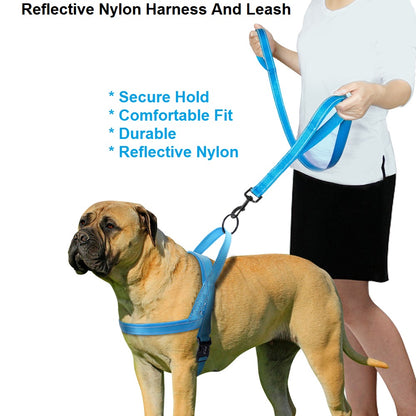 2-in-1 Reflective Nylon Dog Harness and Leash Set by HitMyNeed