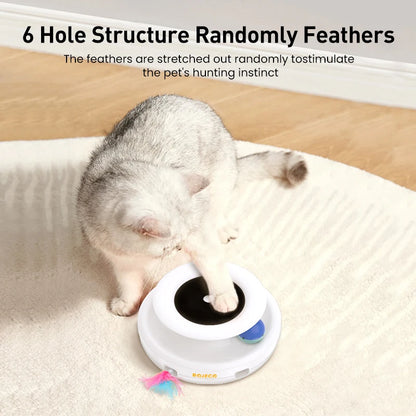 2-in-1 Smart Interactive Feather & Ball Pet Toy Set by HitMyNeed