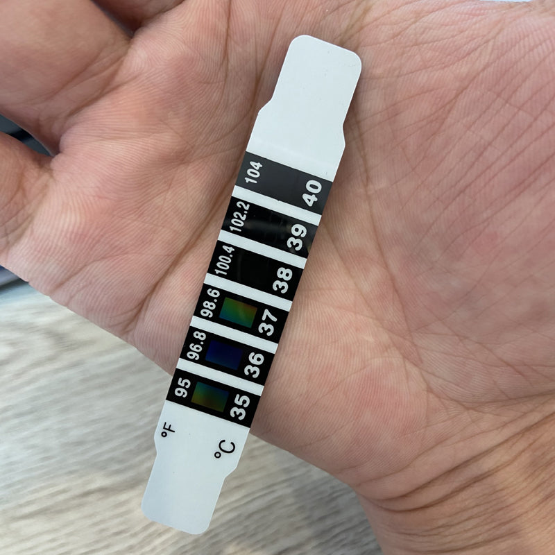 20-Pack Forehead Strip Thermometers for Fever Check by HitMyNeed