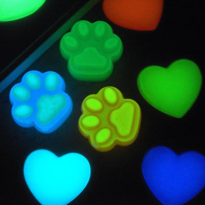 20g Luminous Glow Powder for Resin and Nail Art by HitMyNeed