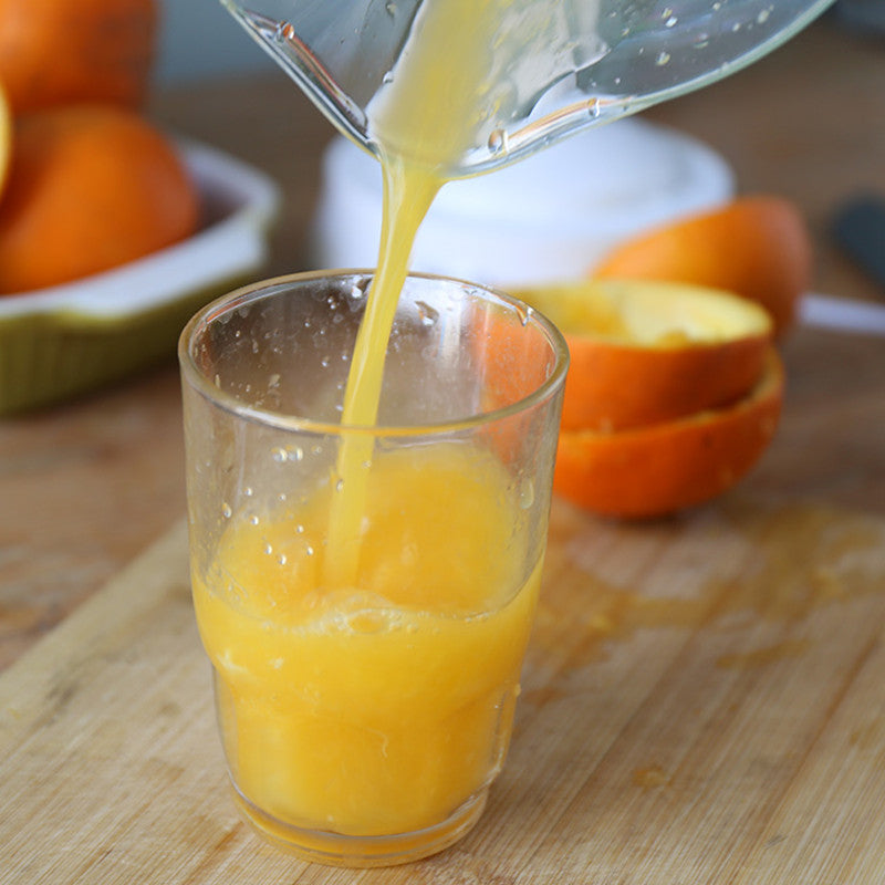 220V Electric Juicer with 500 ml Pulp Container by HitMyNeed