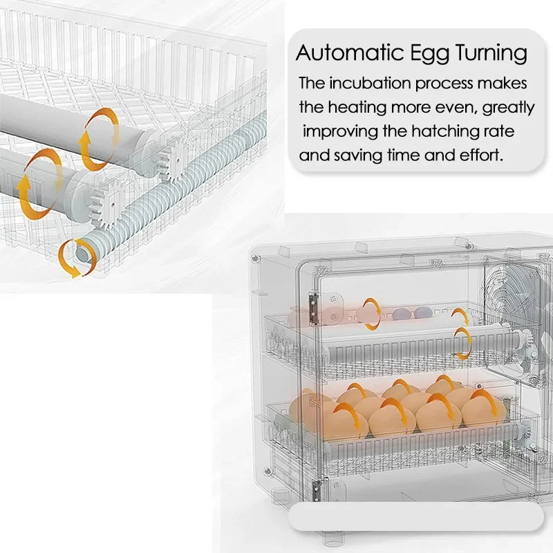 24 Egg Automatic Incubator with Touch Control by HitMyNeed