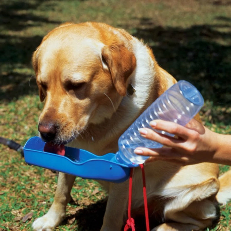 250ml Folding Portable Dog Water Bottle red by HitMyNeed