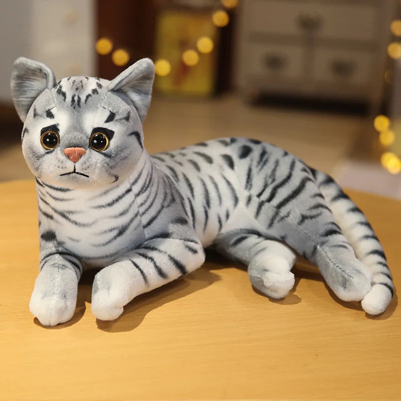 29cm Lifelike American Shorthair Siamese Cat Plush by HitMyNeed