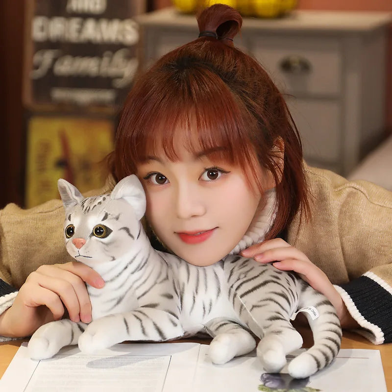 29cm Lifelike American Shorthair Siamese Cat Plush by HitMyNeed