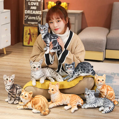 29cm Lifelike American Shorthair Siamese Cat Plush by HitMyNeed