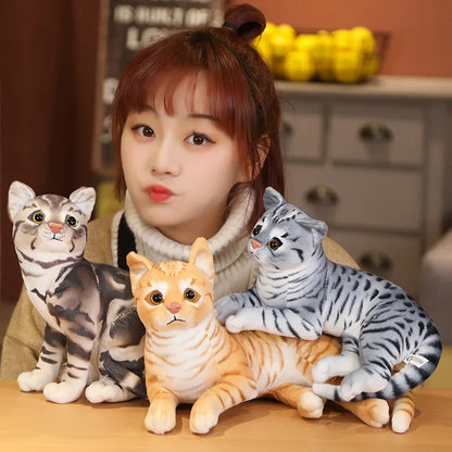 29cm Lifelike American Shorthair Siamese Cat Plush by HitMyNeed