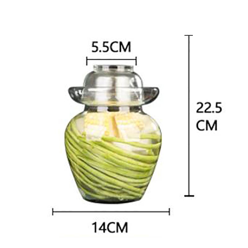 2.5L Glass Fermenting Jar with Water Seal Lid by HitMyNeed