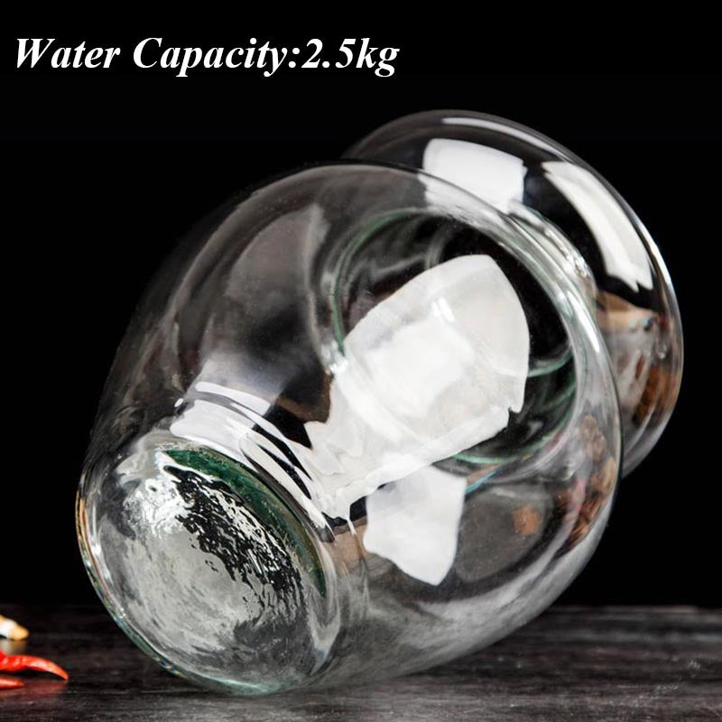 2.5L Glass Fermenting Jar with Water Seal Lid by HitMyNeed