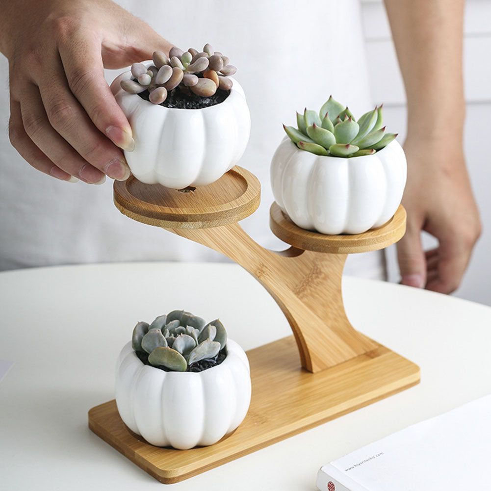 3-Tier Indoor Ceramic Plant Pot with Bamboo Stand by HitMyNeed