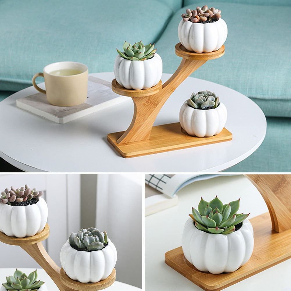 3-Tier Indoor Ceramic Plant Pot with Bamboo Stand by HitMyNeed