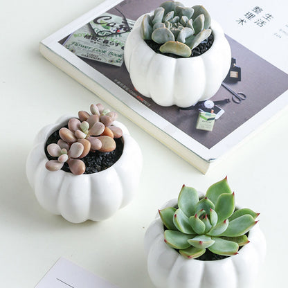3-Tier Indoor Ceramic Plant Pot with Bamboo Stand by HitMyNeed