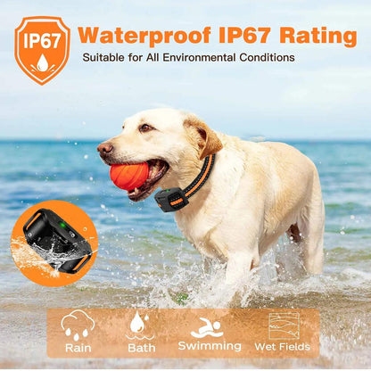 3300Ft Waterproof Dog Training Collar with Remote by HitMyNeed