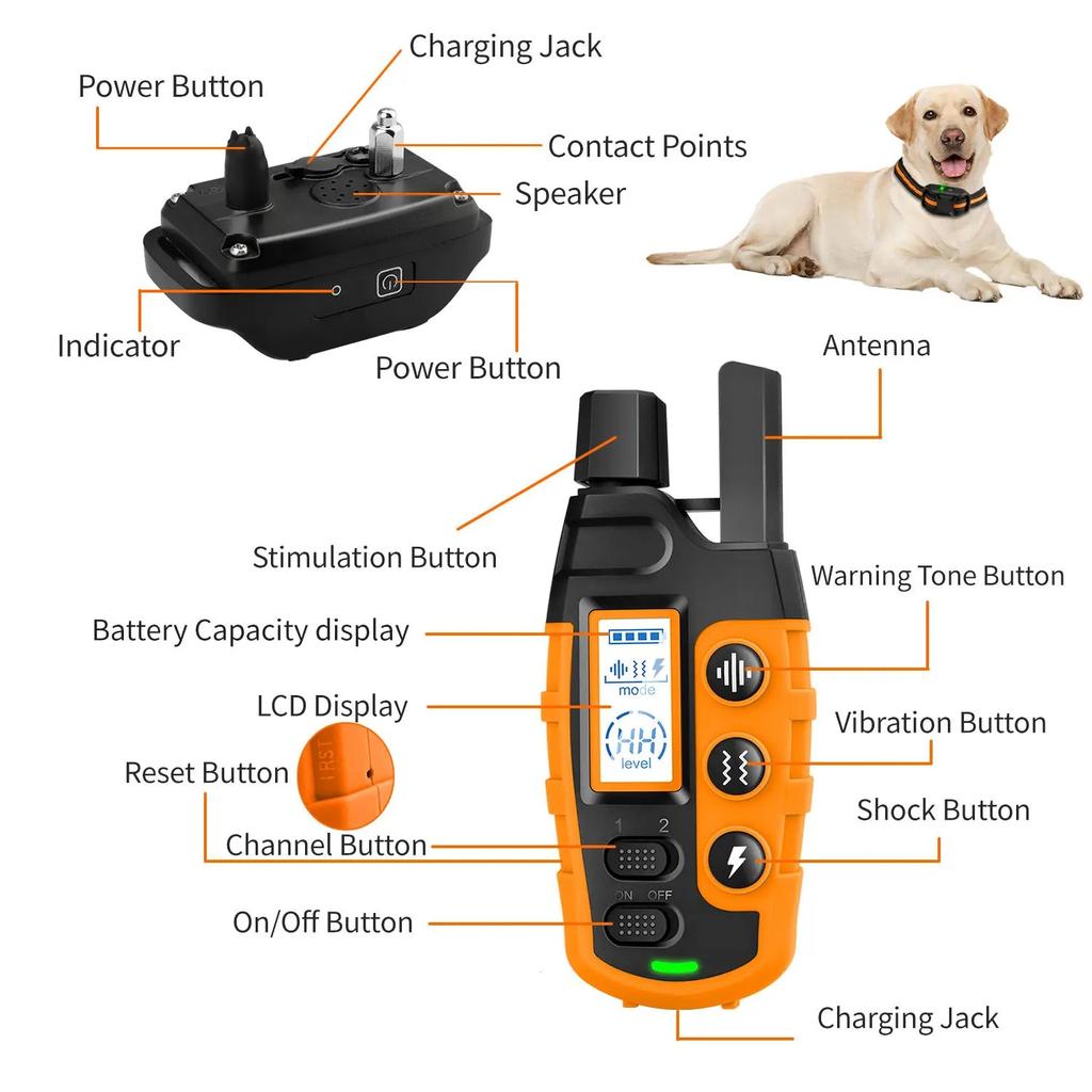 3300Ft Waterproof Dog Training Collar with Remote by HitMyNeed