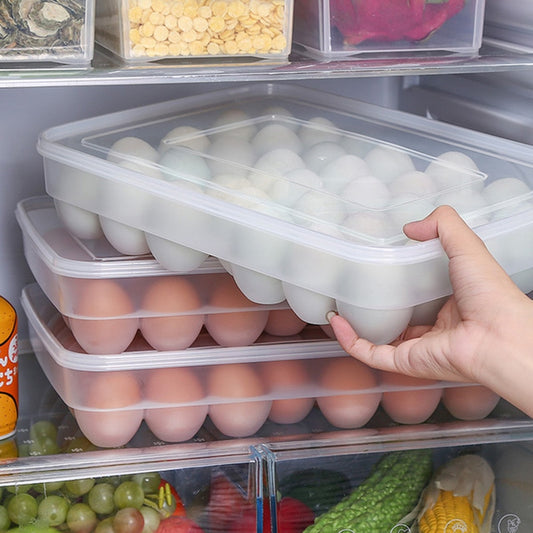 34 Slot Clear Plastic Reusable Egg Carton Organizer by HitMyNeed