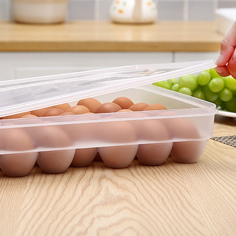 34 Slot Clear Plastic Reusable Egg Carton Organizer by HitMyNeed