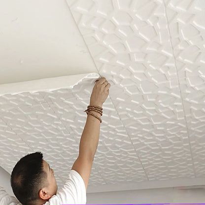 35x35cm 3D Waterproof Peel & Stick Ceiling Panel by HitMyNeed