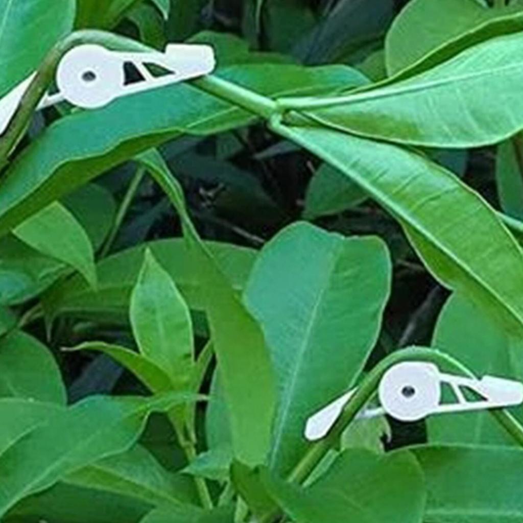 360° Plant Benders Set of 10 for Stem Training by HitMyNeed