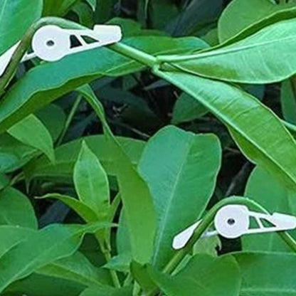 360° Plant Benders Set of 10 for Stem Training by HitMyNeed