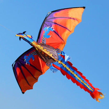 3D Dragon Kite with 100m Line and Handle by HitMyNeed