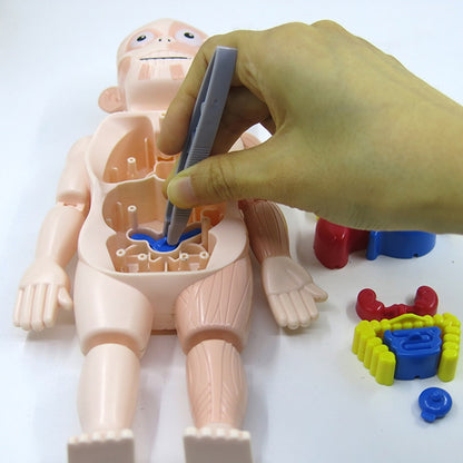 3D Human Anatomy Body Puzzle for Kids by HitMyNeed