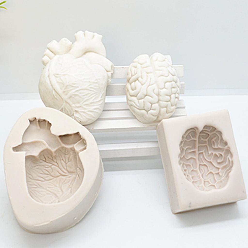 3D Silicone Brain Chocolate Mold for Baking & Crafts by HitMyNeed