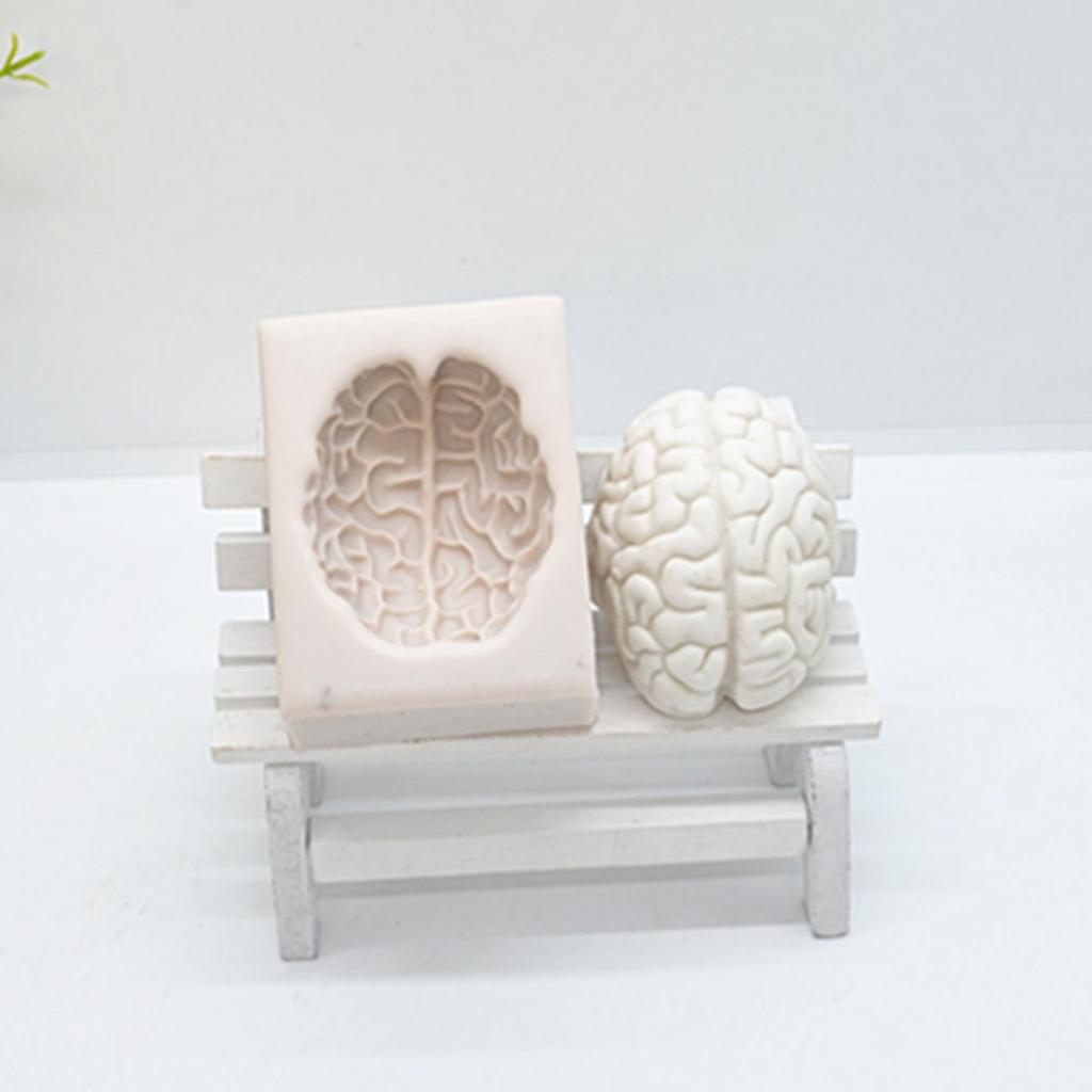 3D Silicone Brain Chocolate Mold for Baking & Crafts by HitMyNeed