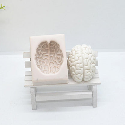 3D Silicone Brain Chocolate Mold for Baking & Crafts by HitMyNeed