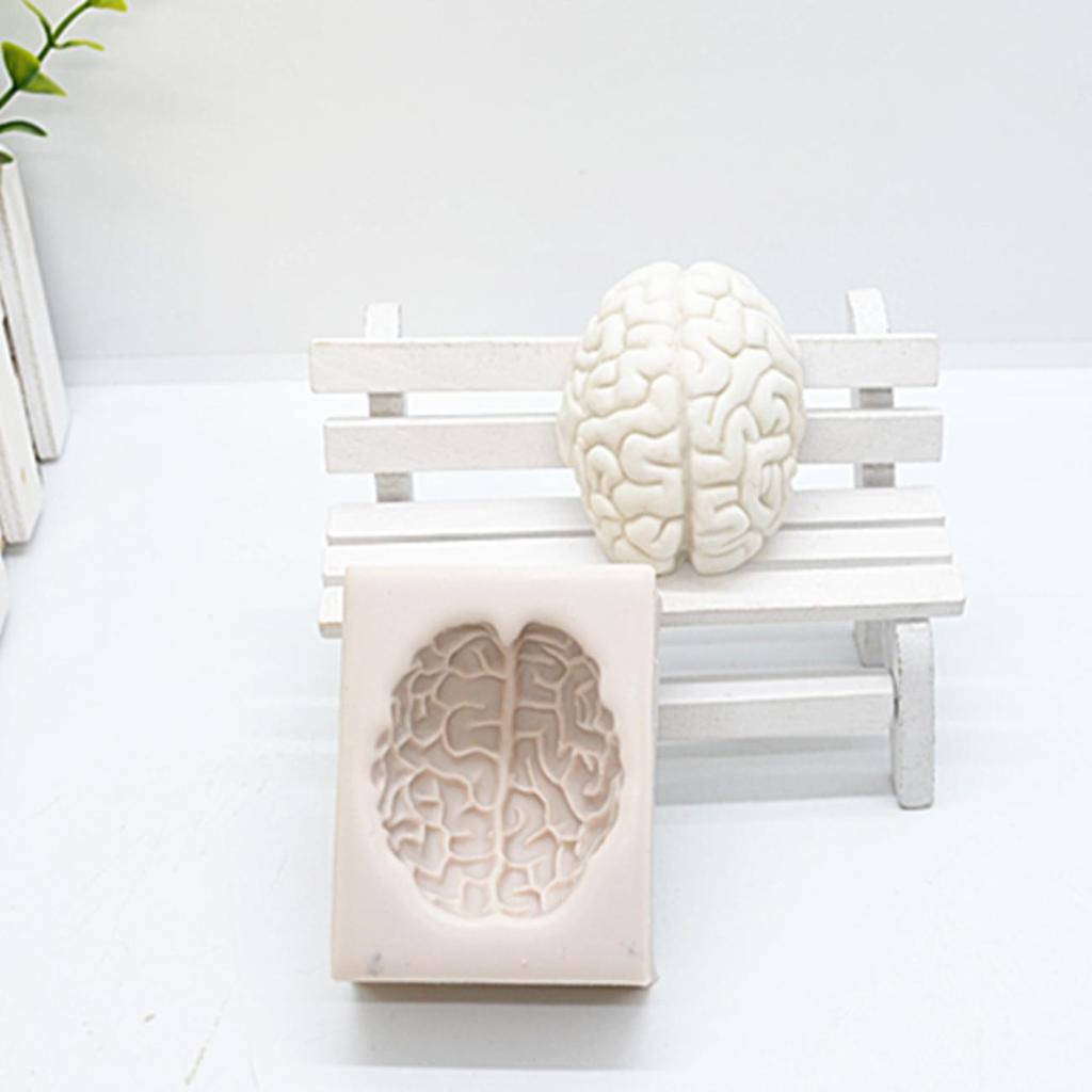 3D Silicone Brain Chocolate Mold for Baking & Crafts by HitMyNeed