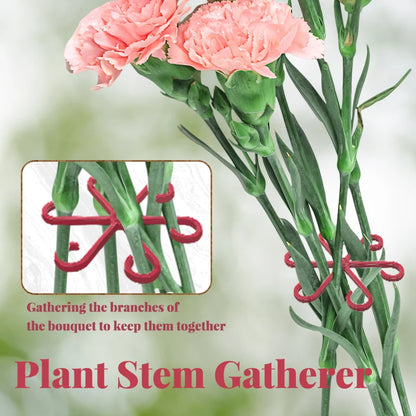 4PCS Reusable Plant Stem Folding Frame Support Set by HitMyNeed