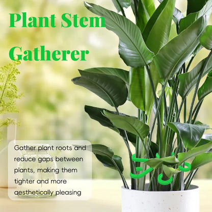 4PCS Reusable Plant Stem Folding Frame Support Set by HitMyNeed