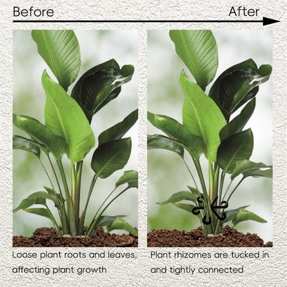 4PCS Reusable Plant Stem Folding Frame Support Set by HitMyNeed