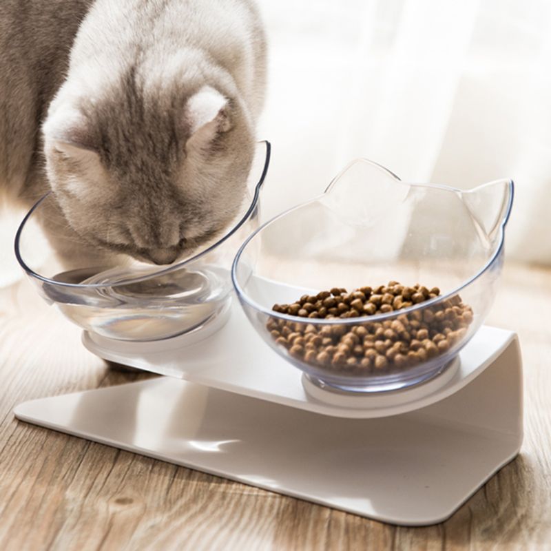 Raised Cat Bowls with Stand, 2pcs Tilted Food & Water Set