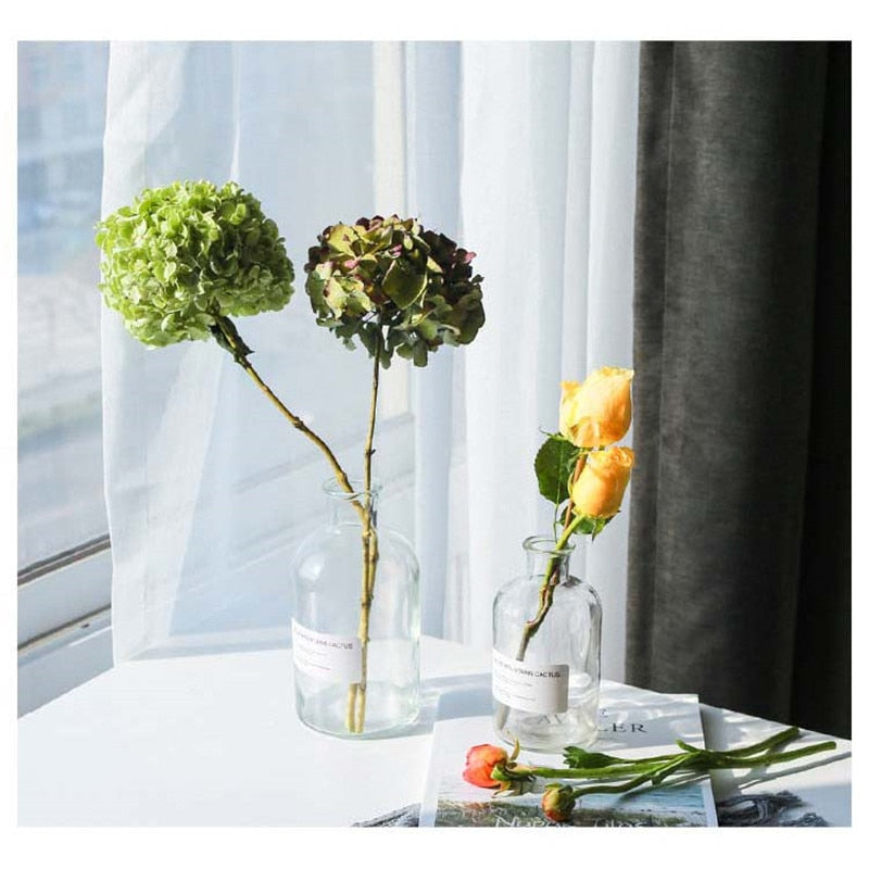 Minimalist Clear Glass Bottle Vase, 4 Sizes