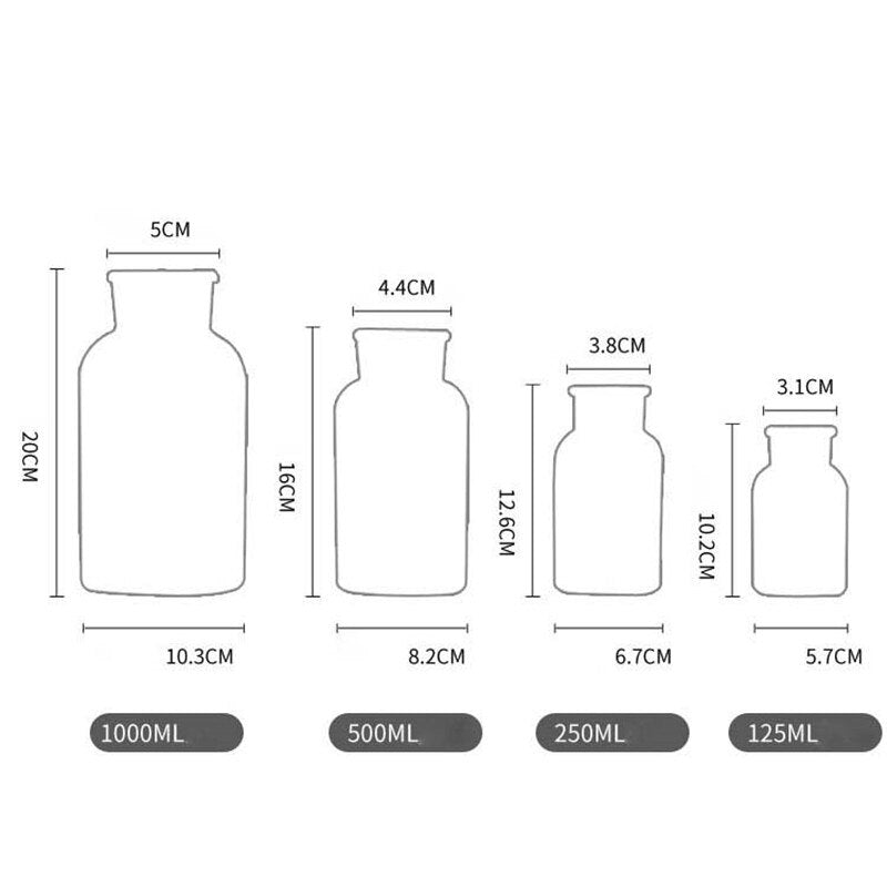 Minimalist Clear Glass Bottle Vase, 4 Sizes