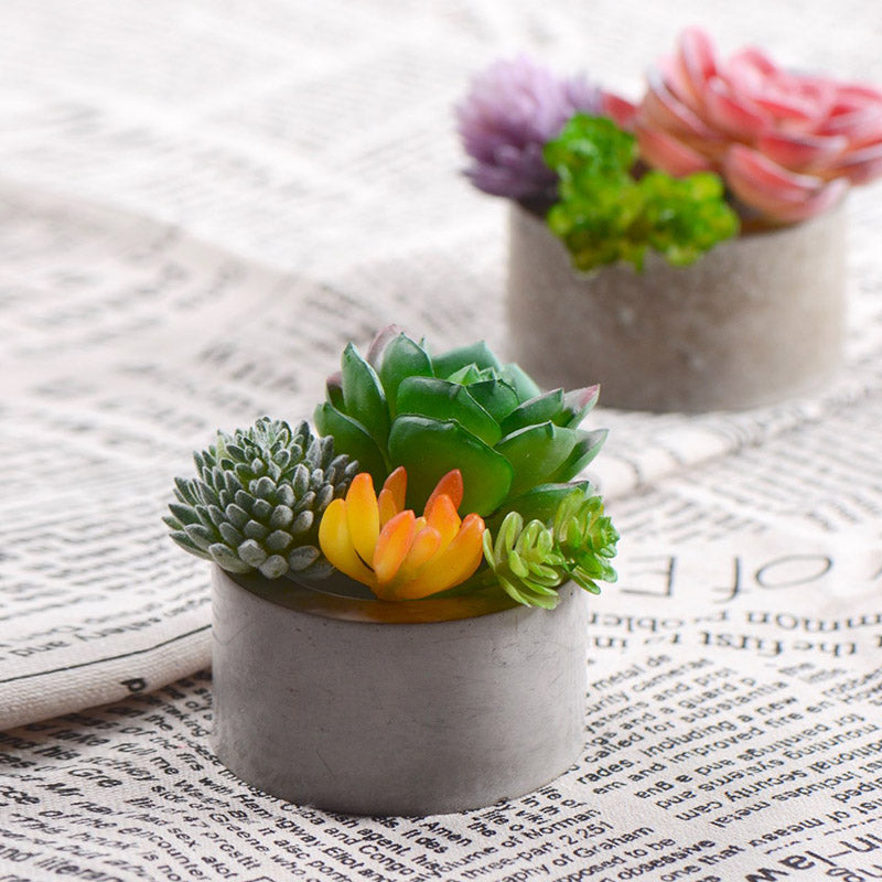 6-Cavity Silicone Planter Mold for Small Pots by HitMyNeed