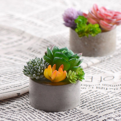 6-Cavity Silicone Planter Mold for Small Pots by HitMyNeed