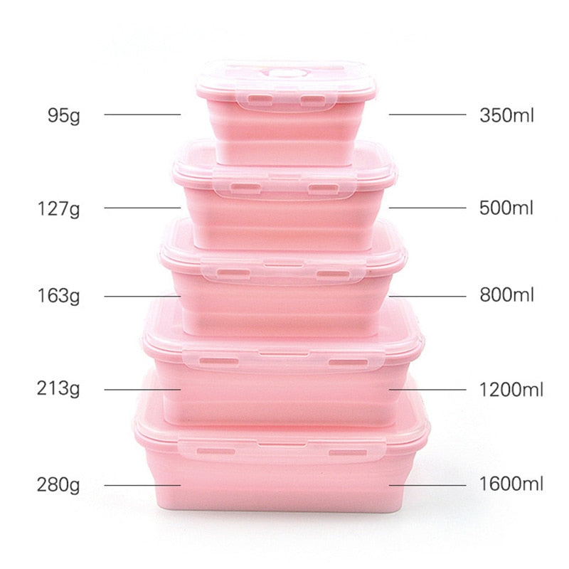 Foldable Lunch Boxes Food Containers, Set of 4