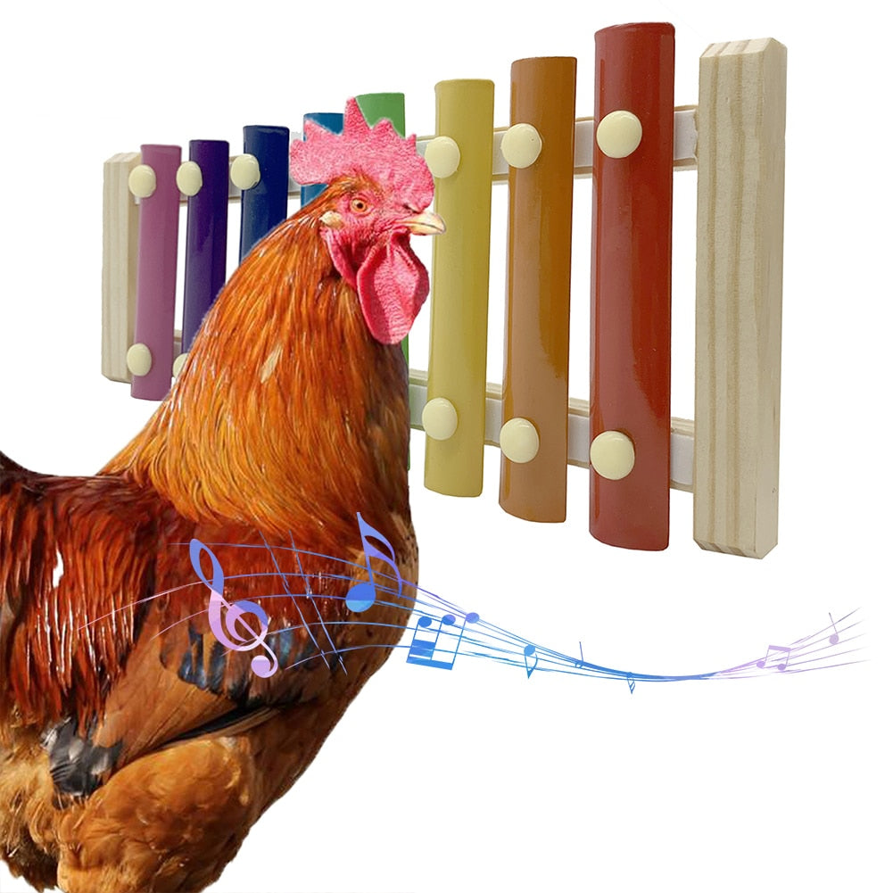 8-Key Chicken Xylophone Musical Toy for Birds by HitMyNeed