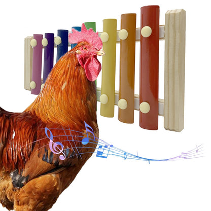 8-Key Chicken Xylophone Musical Toy for Birds by HitMyNeed