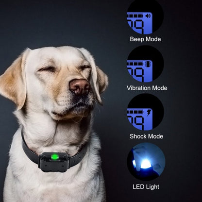 800m Waterproof Rechargeable Dog Training Collar by HitMyNeed