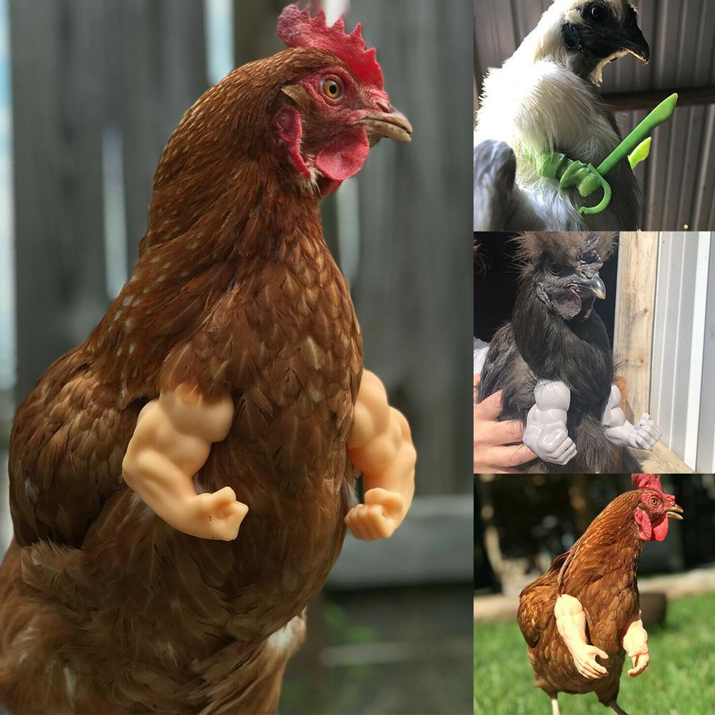 Funny Muscle Fake Arms Costume for Chickens