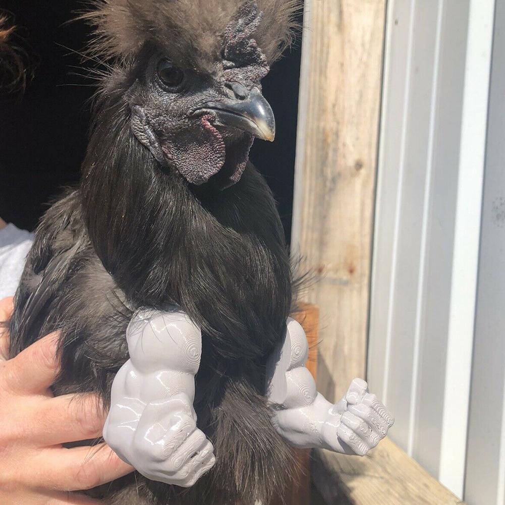 Funny Muscle Fake Arms Costume for Chickens